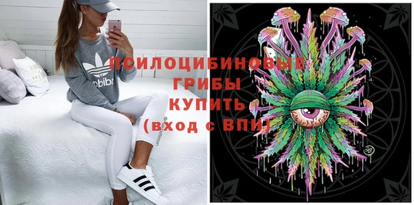 дмт Алексин