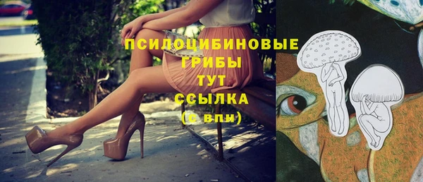 спайс Абдулино