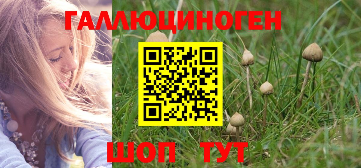 Псилоцибиновые грибы GOLDEN TEACHER Заволжье