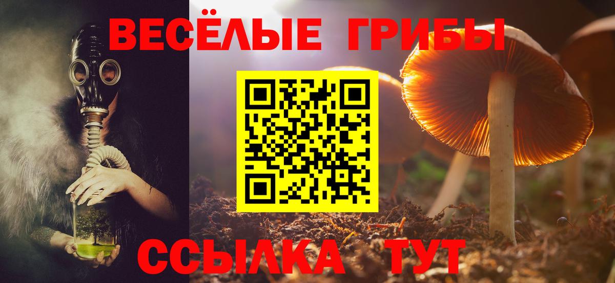 Галлюциногенные грибы Cubensis  Вход с VPN  Заволжье 