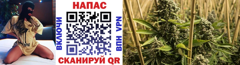 hydra tor  Заволжье  Каннабис семена 
